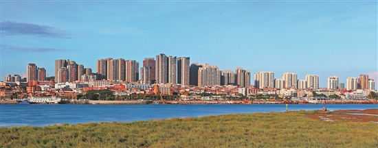 東海片區(qū)高樓群.jpg